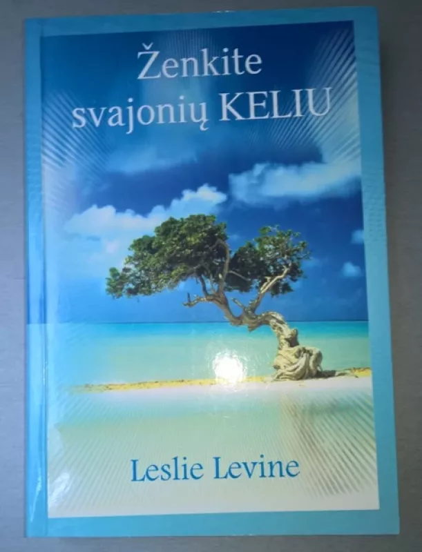 Ženkite svajonių keliu - Leslie Levine, knyga 3