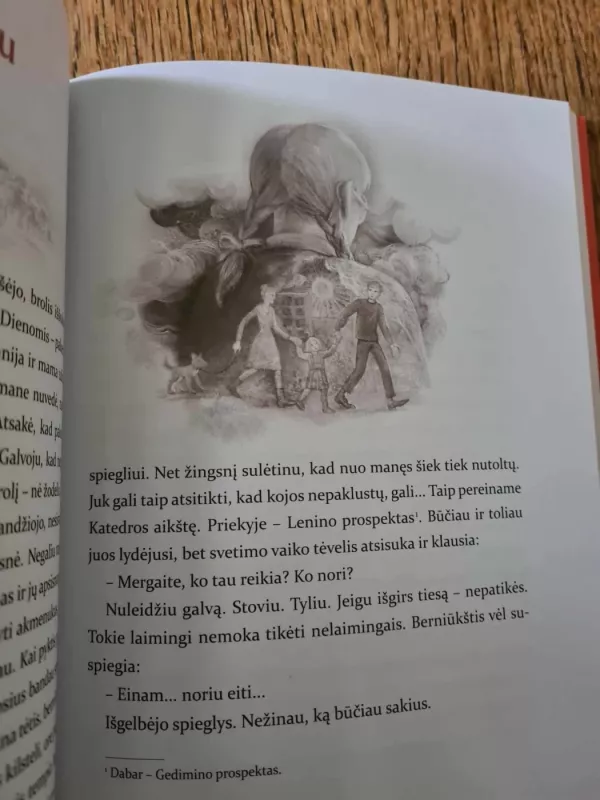 Šarka - Danė Griganė, knyga 5