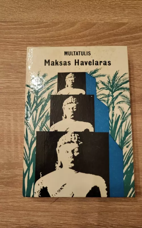 Maksas Havelaras, arba Niderlandų prekybos bendrovės kavos aukcionai - Maksas Multatulis, knyga