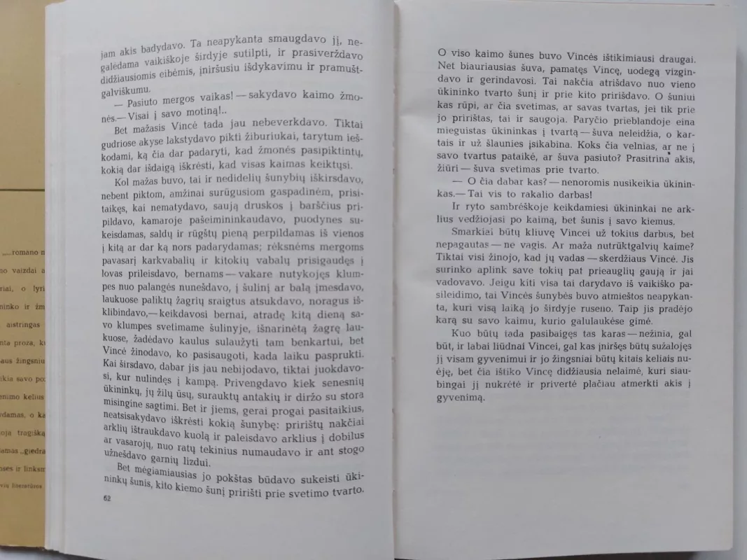 Mediniai stebuklai - Kazys Boruta, knyga 4