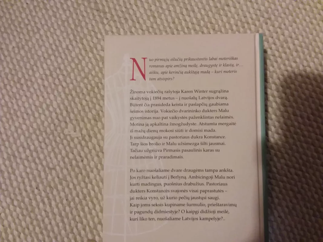 Rygos ilgesys - Karen Winter, knyga 4