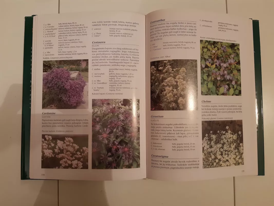 Sodo augalų enciklopedija - Klaas T. Noordhuis, knyga 3