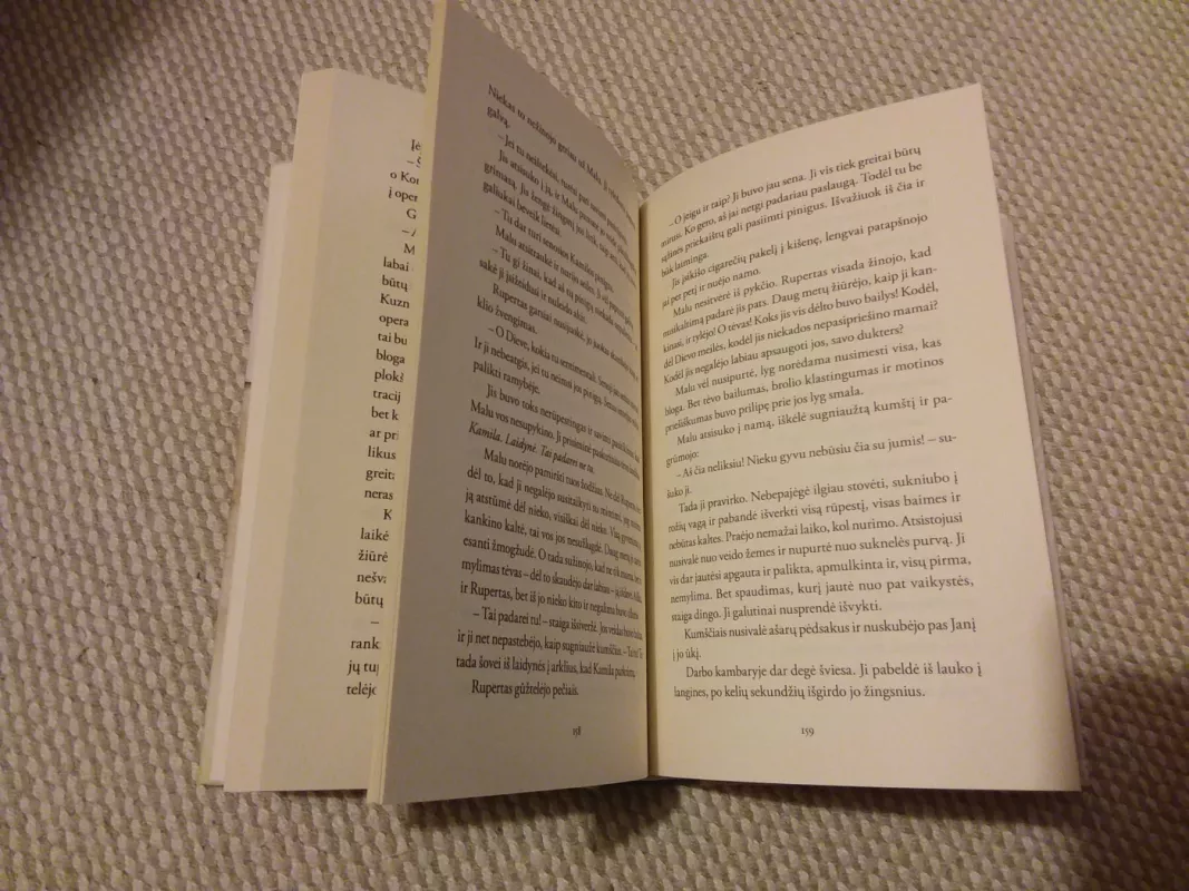 Rygos ilgesys - Karen Winter, knyga 3