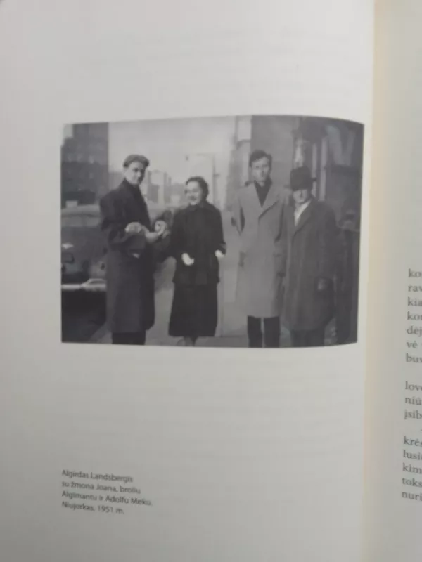 Modernioji lietuvių egzilio proza - Algirdas Landsbergis, knyga 6