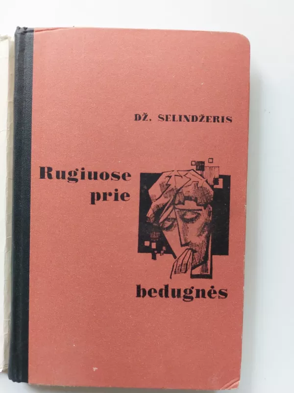 Rugiuose prie bedugnės - Džeromas Selindžeris, knyga 3