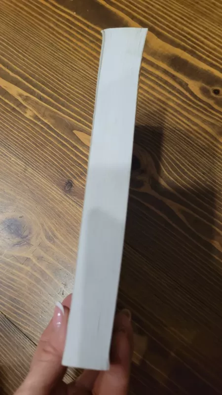 Piligrimo vadovas po  stebuklingas Marijos vietas - Robertas Gedvydas Skrinskas, knyga 4