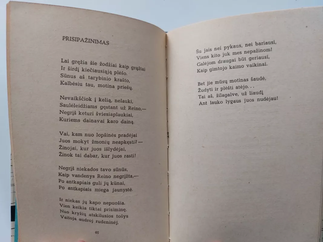 Beržų lopšinė - Paulius Širvys, knyga 6