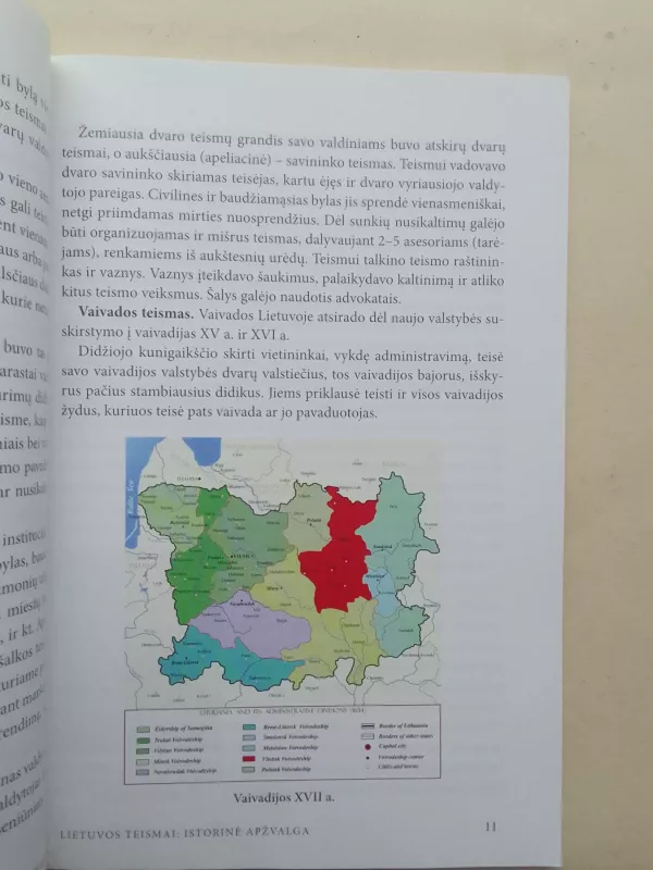 Lietuvos teismai: istorinė apžvalga - Autorių Kolektyvas, knyga 5