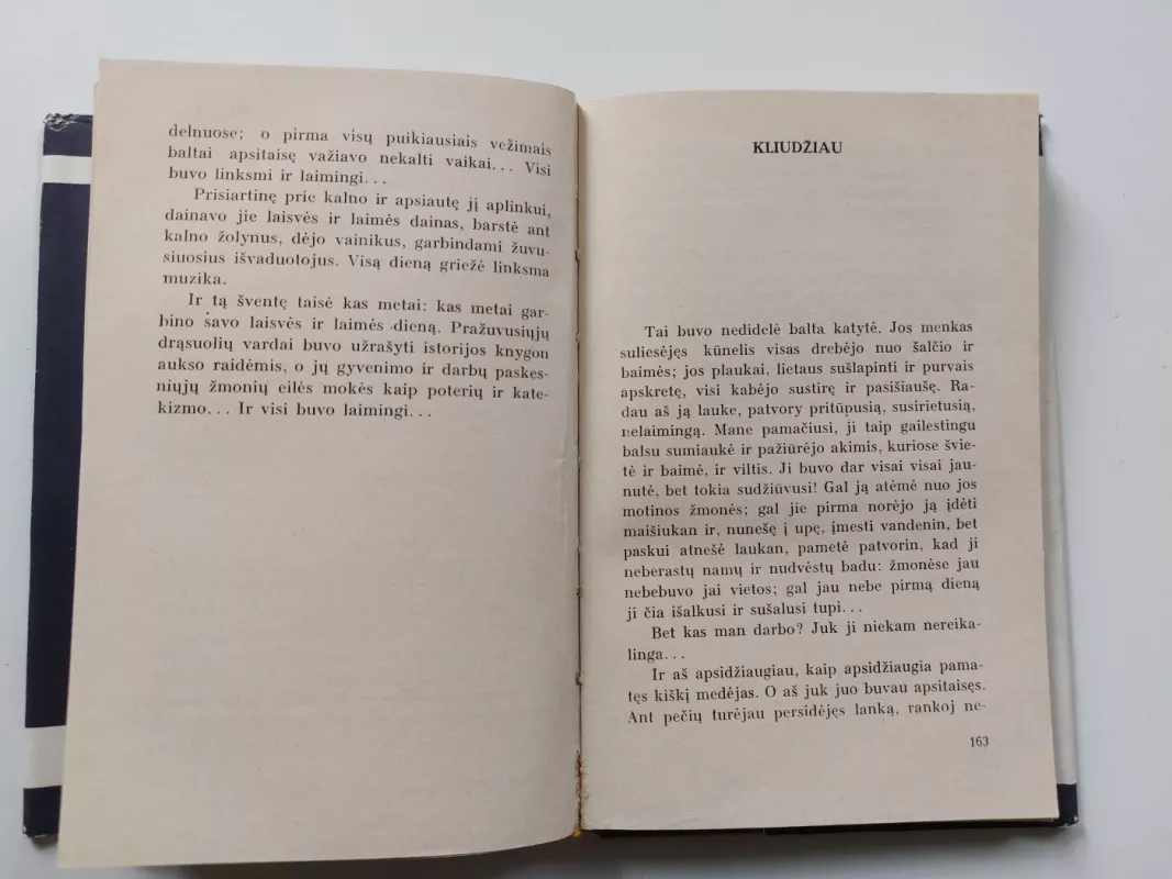 Liūdna pasaka - Jonas Biliūnas, knyga 4