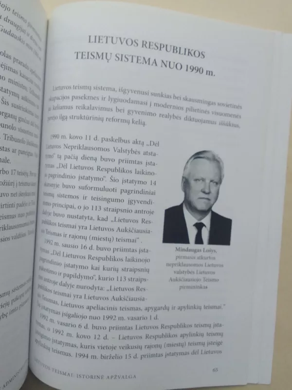Lietuvos teismai: istorinė apžvalga - Autorių Kolektyvas, knyga 6