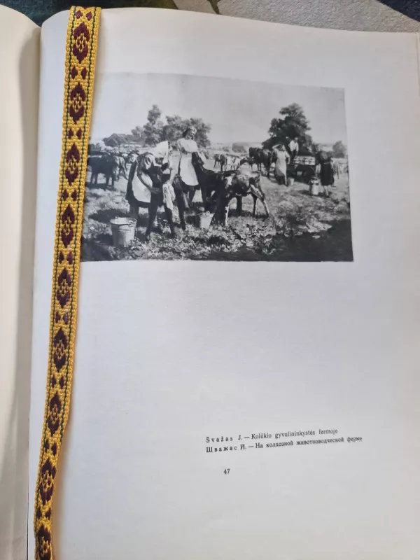 Lietuvių dailė : Литовское изобразительное искусство - P. Gudynas, knyga 6