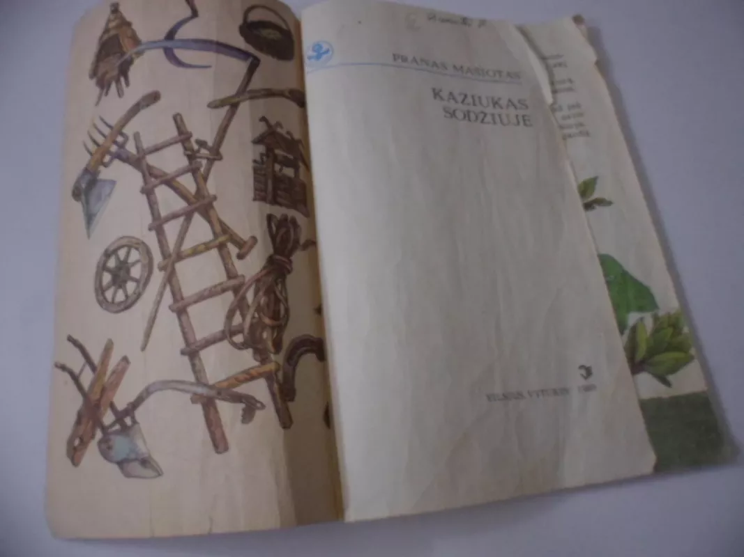 Kaziukas sodžiuje - Pranas Mašiotas, knyga 3