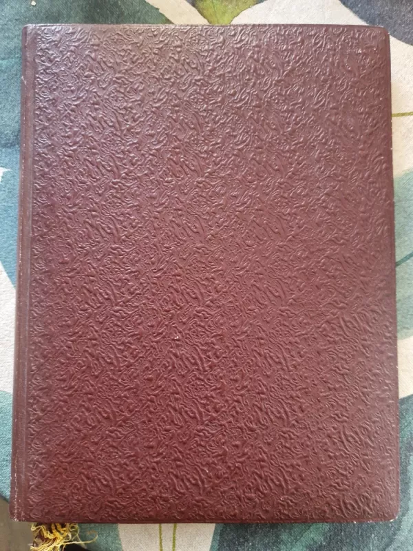 Lietuvių dailė : Литовское изобразительное искусство - P. Gudynas, knyga 5