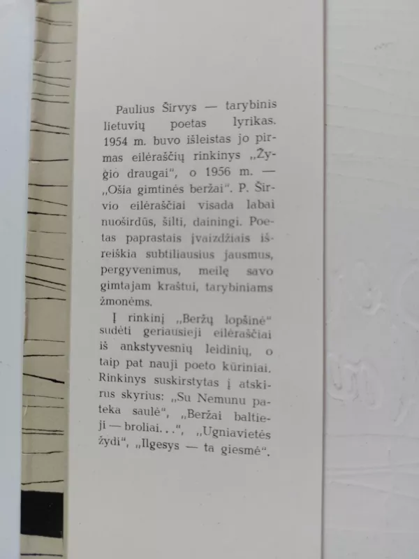 Beržų lopšinė - Paulius Širvys, knyga 4