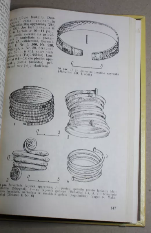 Senasis geležies amžius Lietuvoje - Mykolas Michelbertas, ir kt. , knyga 4
