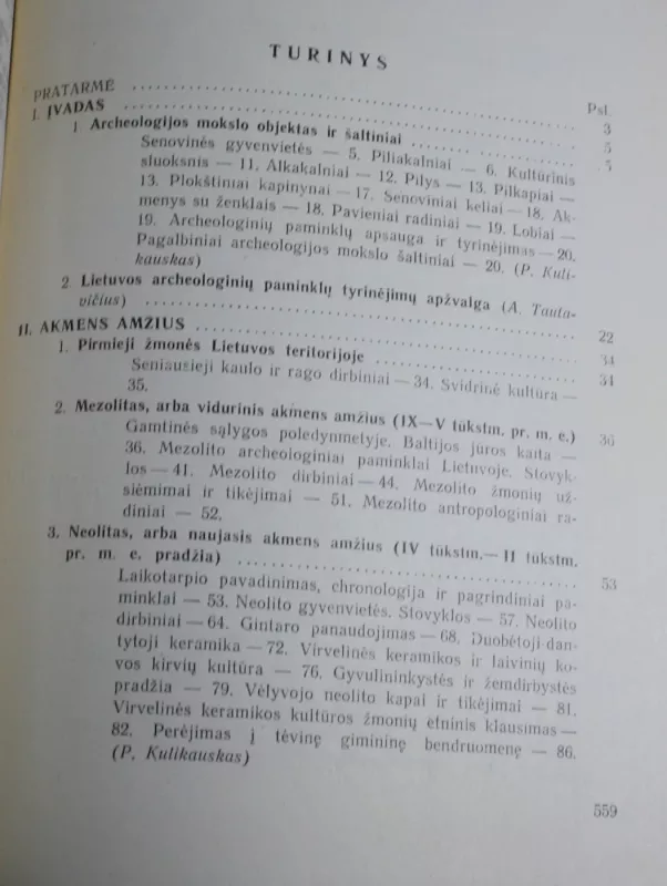 Lietuvos archeologijos bruožai - P. Kulikauskas, R.  Kulikauskienė, A.  Tautavičius, knyga 4