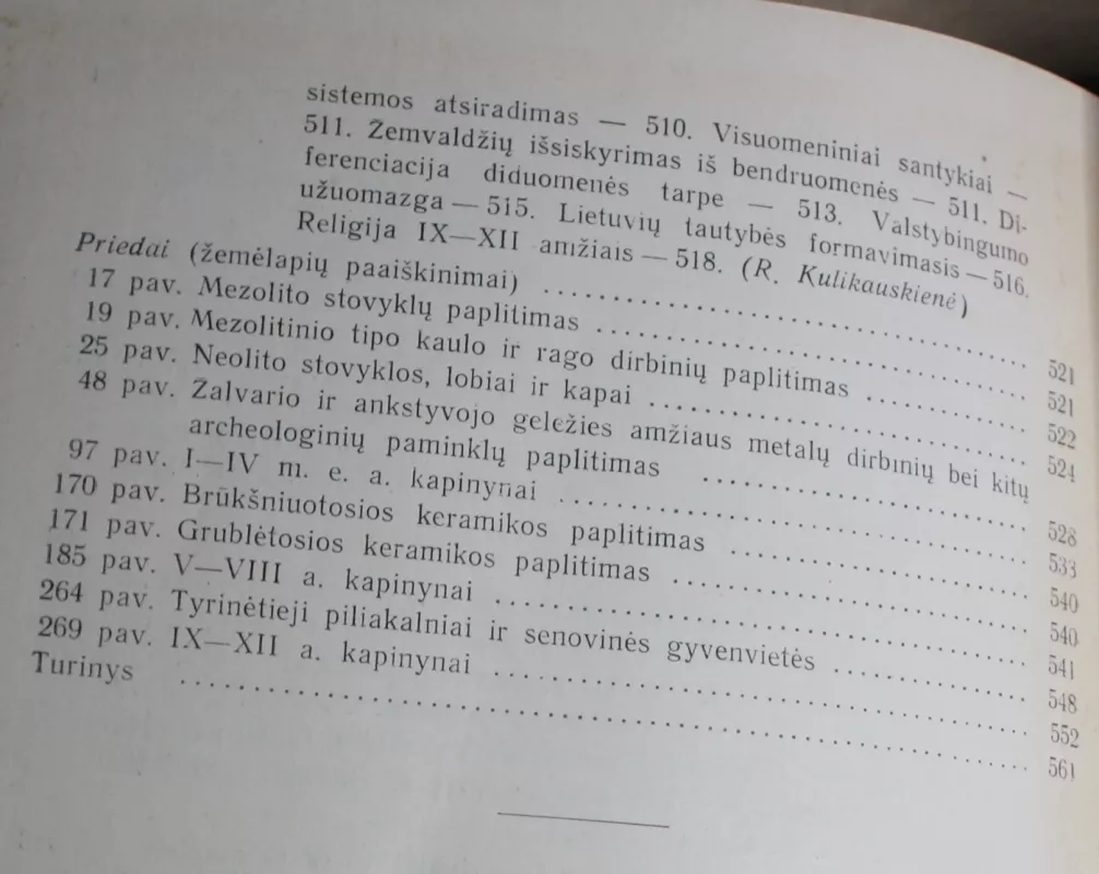 Lietuvos archeologijos bruožai - P. Kulikauskas, R.  Kulikauskienė, A.  Tautavičius, knyga 5
