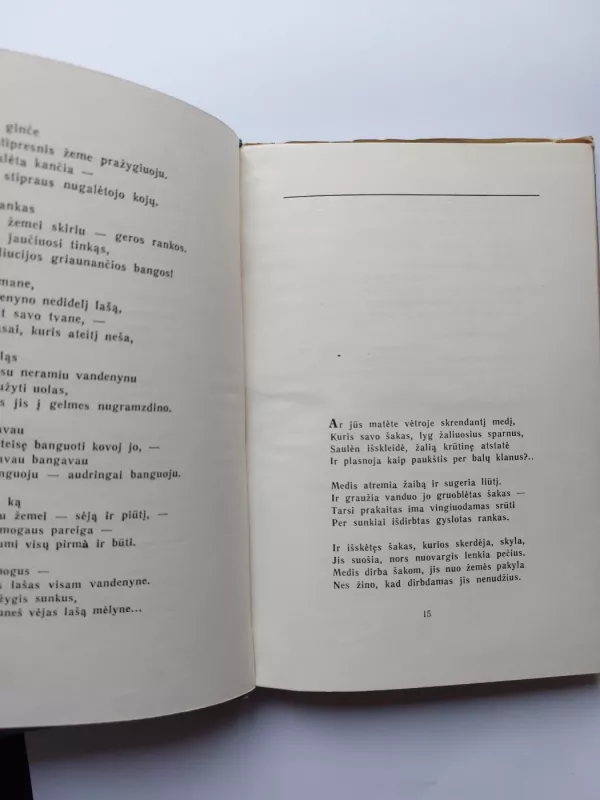 Žvaigždžių papėdė - Eduardas Mieželaitis, knyga 4