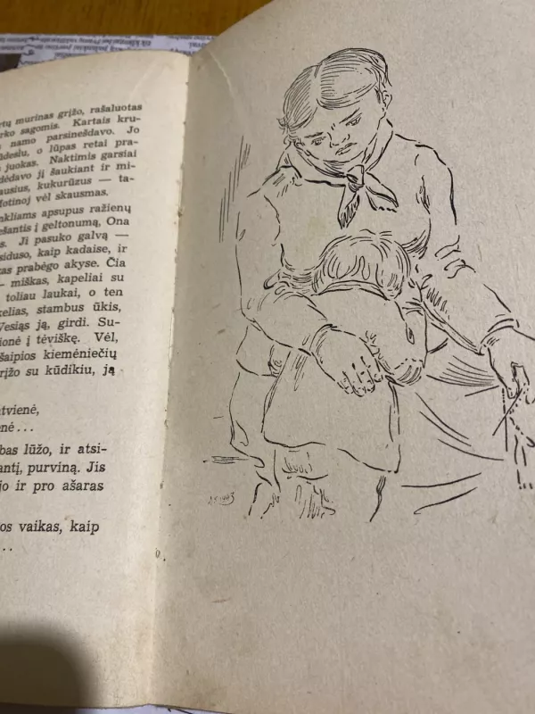 Kiemėnų kaimas - Petras Rimkūnas, knyga 5