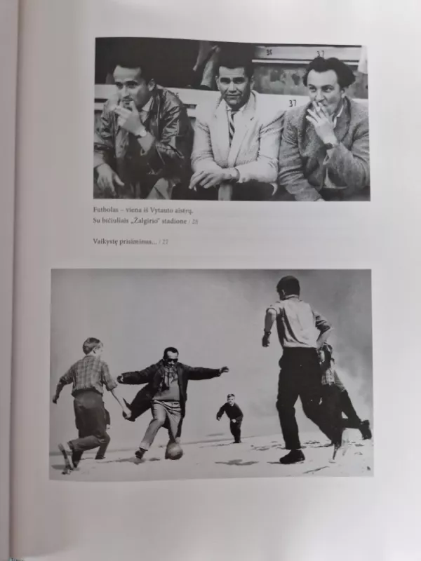 Laiškanešys, pasiklydęs dykumoje: Vytauto Žalakevičiaus gyvenimo ir kūrybos pėdsakais - Laimonas Tapinas, knyga 6