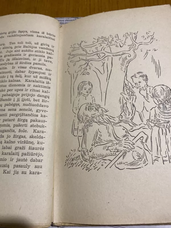 Kiemėnų kaimas - Petras Rimkūnas, knyga 3