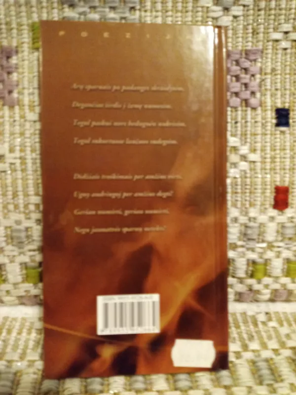 Per amžius degti - Salomėja Nėris, knyga 4