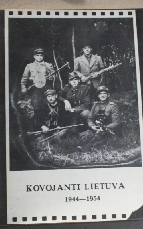 Kovojanti Lietuva - V. Gylys, knyga 2