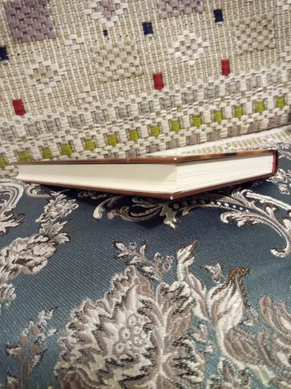 Per amžius degti - Salomėja Nėris, knyga 3