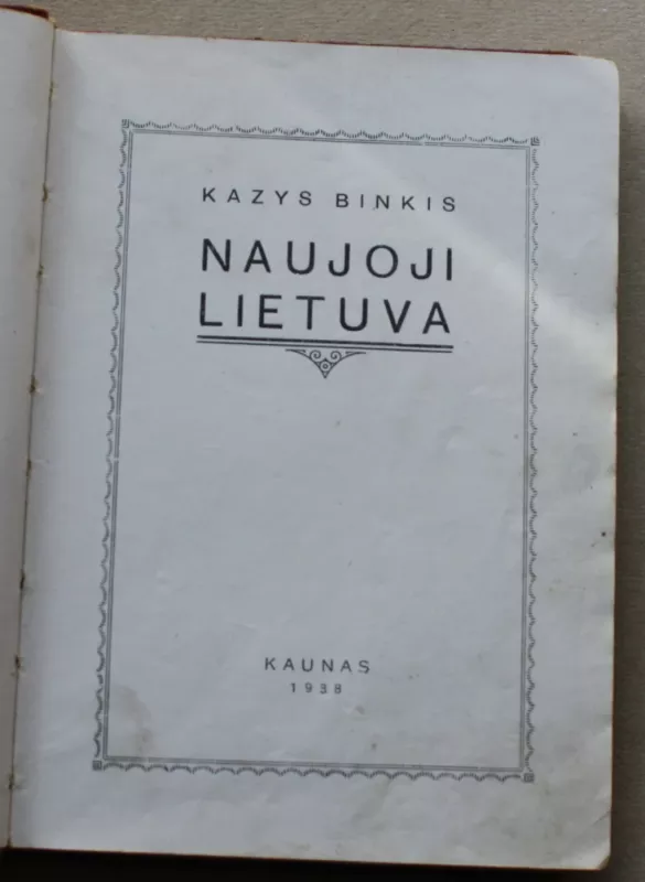 Naujoji Lietuva - Kazys Binkis, knyga 3