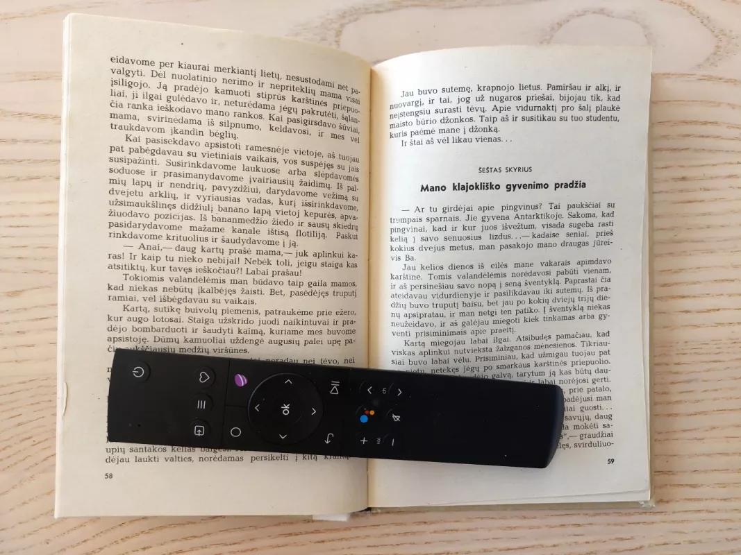 Pietų džiunglėse - Doanas Ziojus, knyga 5