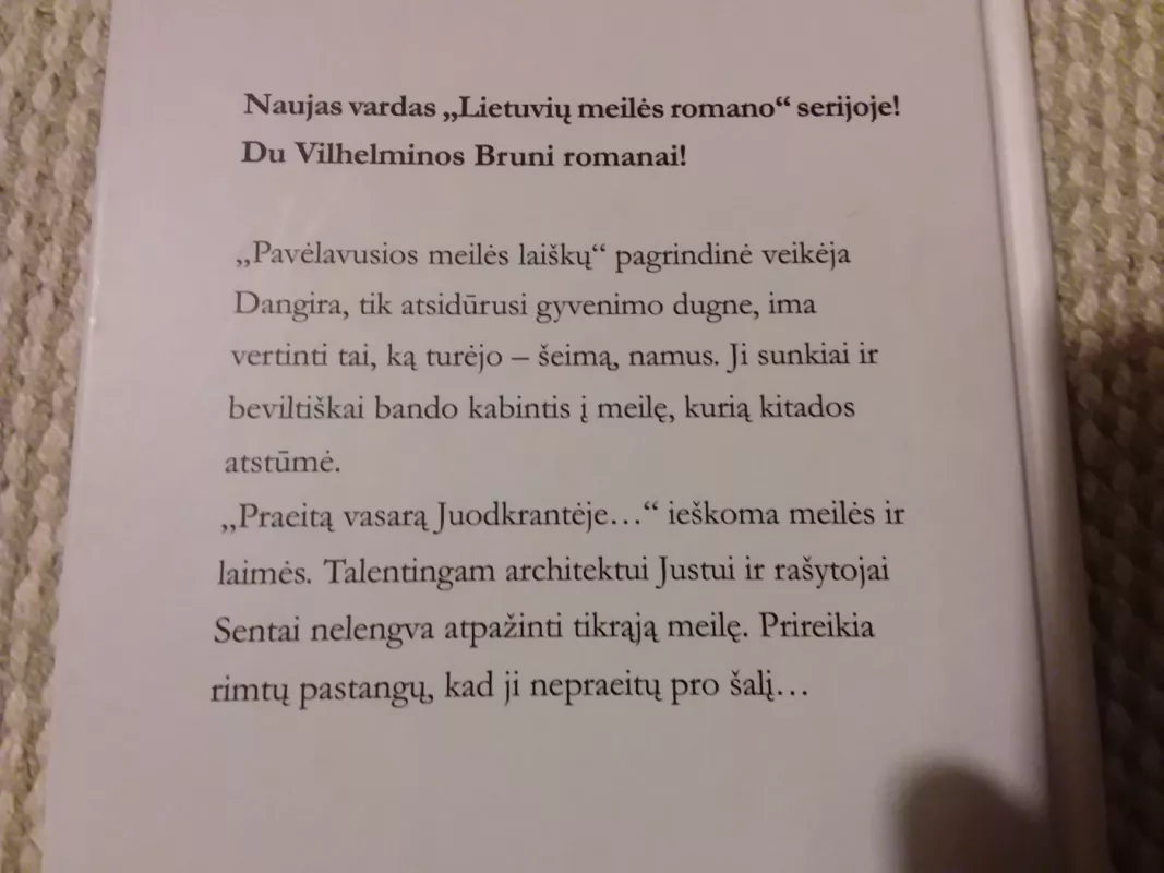 Pavėlavusios meilės laiškai. Praeitą vasarą Juodkrantėje - Vilhelmina Bruni, knyga 4