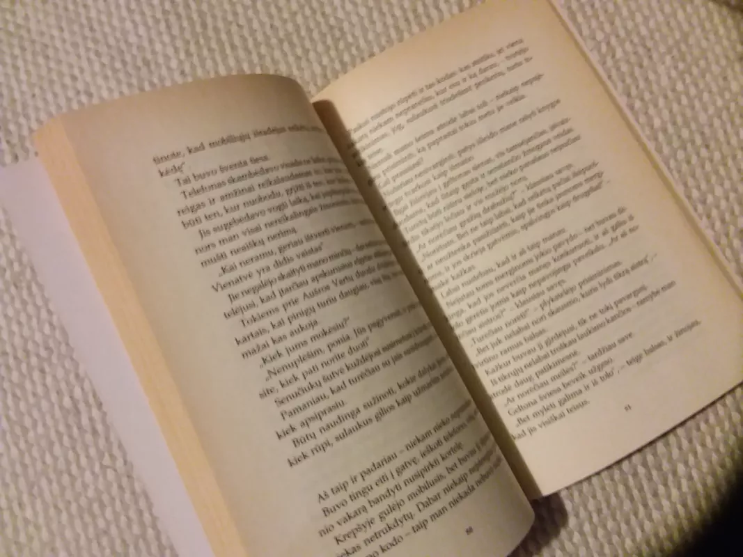 Posūkyje - neišlėk - Audronė Urbonaitė, knyga 3