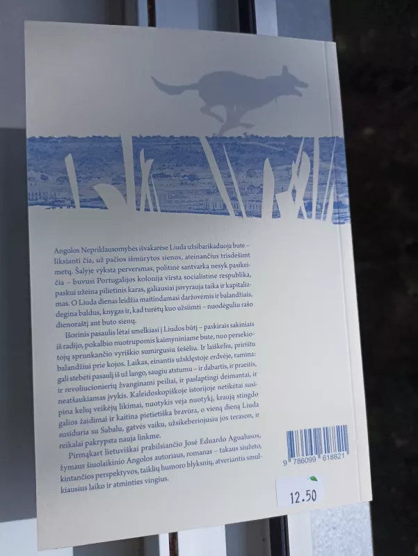 Bendroji užmaršties teorija - José Eduardo Agualusa, knyga 4