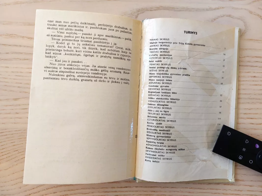 Pietų džiunglėse - Doanas Ziojus, knyga 6