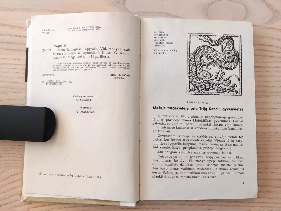 Pietų džiunglėse - Doanas Ziojus, knyga 4