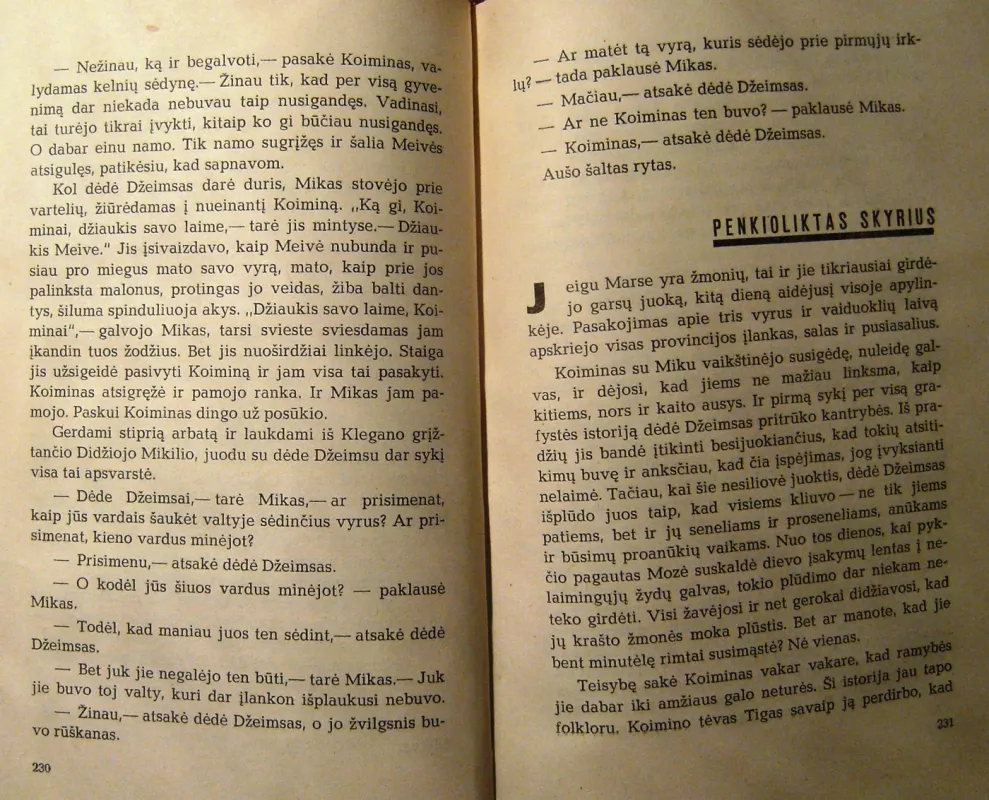 Vėjas neša audrą - V. Mekinas, knyga 6