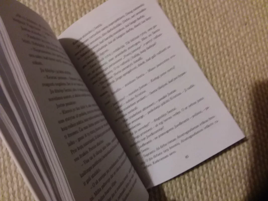 Pavėlavusios meilės laiškai. Praeitą vasarą Juodkrantėje - Vilhelmina Bruni, knyga 3