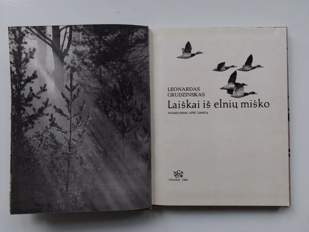 Laiškai iš elnių miško - Leonardas Grudzinskas, knyga 3