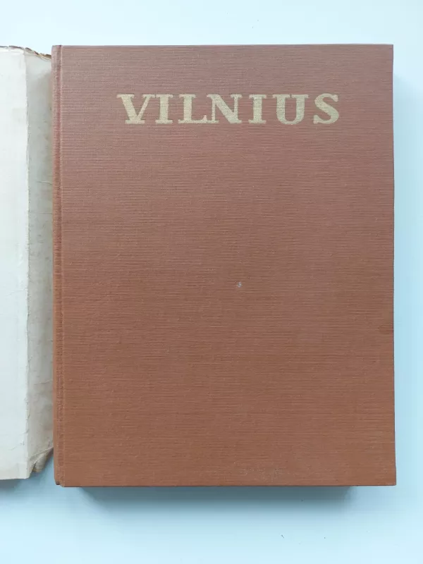 Vilnius. Architektūra iki XX amžiaus pradžios - Autorių Kolektyvas, knyga 3