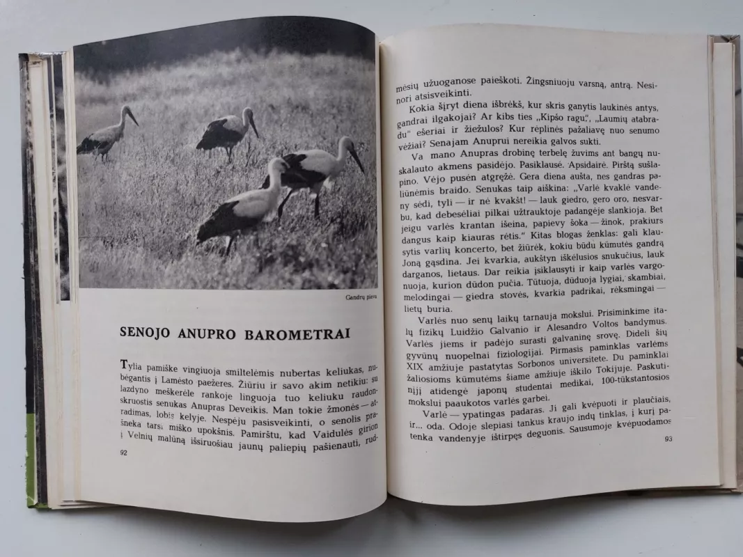 Laiškai iš elnių miško - Leonardas Grudzinskas, knyga 4