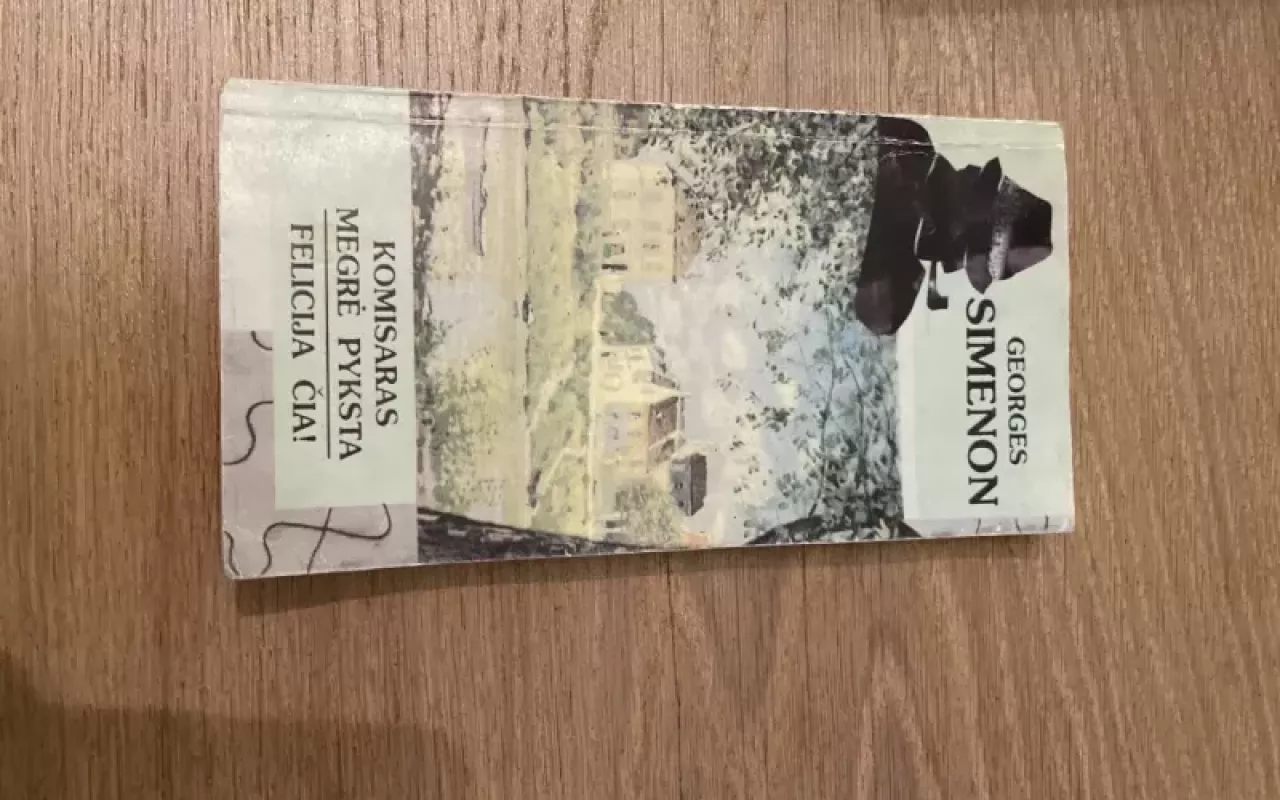 Komisaras Megrė pyksta. Felicija čia! - Georges Simenon, knyga 3