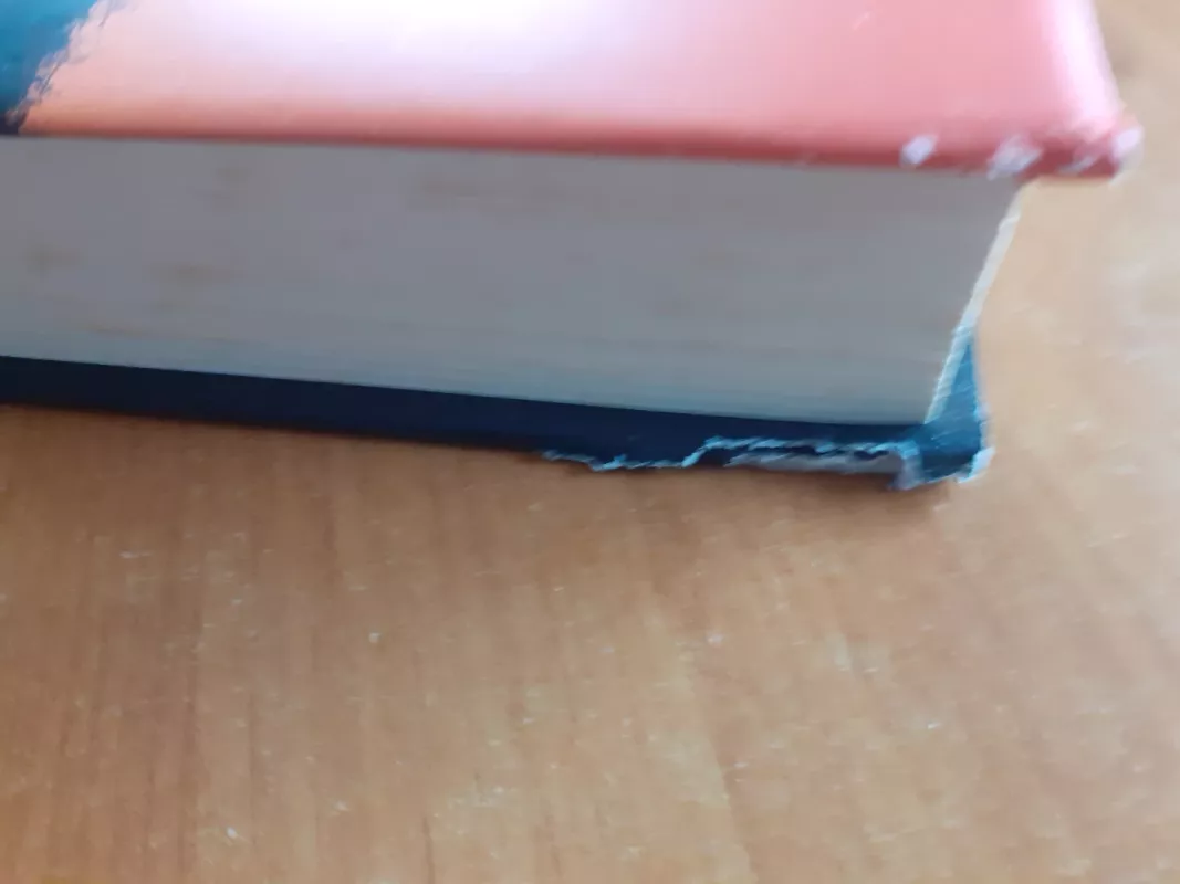 Tobulas paveikslas - Jodi Picoult, knyga 3