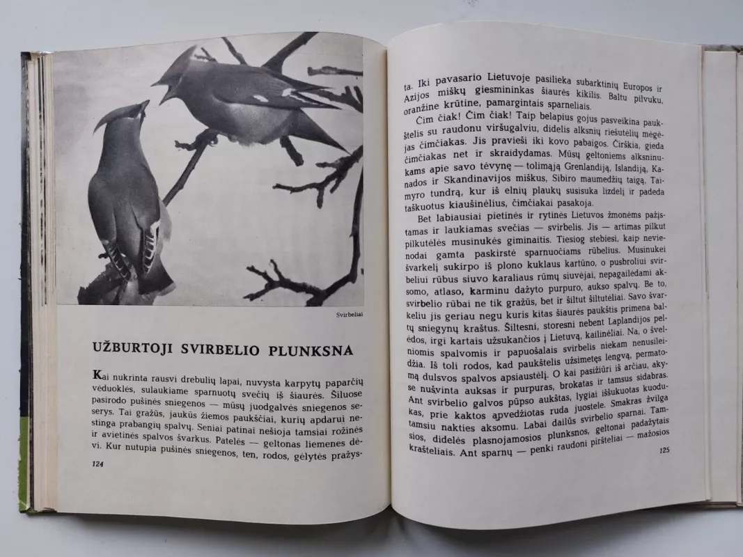 Laiškai iš elnių miško - Leonardas Grudzinskas, knyga 5