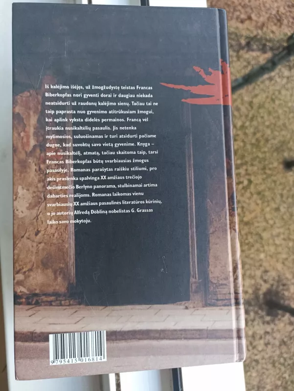 Berlynas. Aleksandro aikštė: Franco Biberkopfo gyvenimo istorija - Alfred Doblin, knyga 4