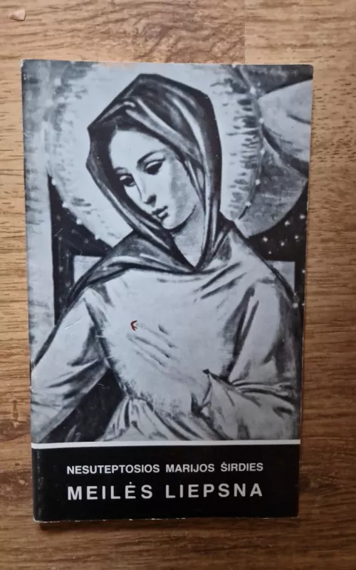 Nesuteptosios Marijos širdies meilės liepsna - Autorių Kolektyvas, knyga