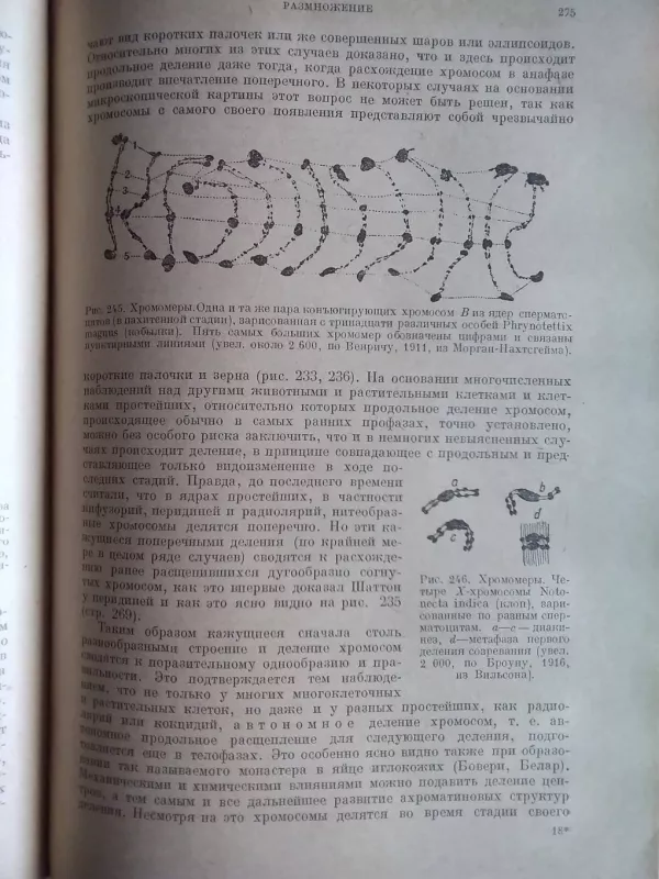 Bendroji biologija. Antikvarinė (rusų k.) - M. Gartman, knyga 4