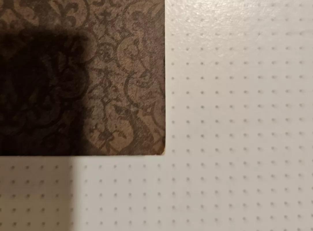 Toliau jūsų bilietas nebegalioja - Romain Gary, knyga 6