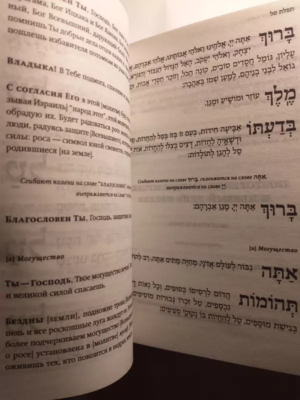 Žydų maldaknygė Tegilat Gashem - Autorių Kolektyvas, knyga 4