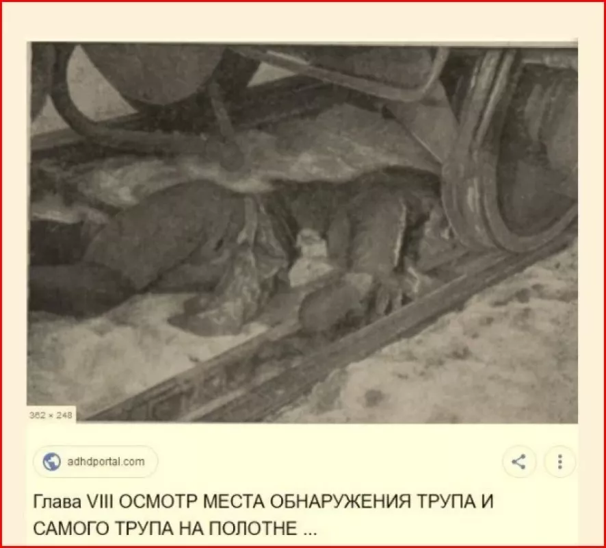 Lavono apžiūra įvykio vietoi - Aleksandras Matyševas, knyga 4