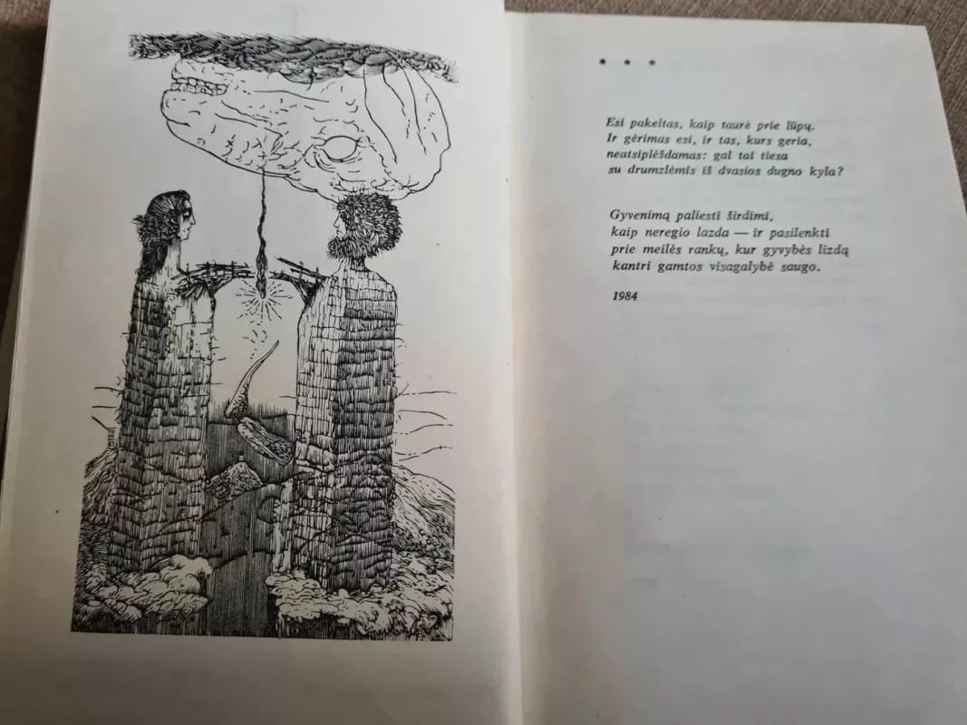 Už gyvus ir mirusius - Justinas Marcinkevičius, knyga 5